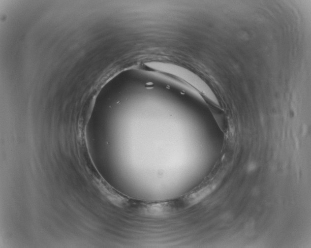 X0000078830382200611271303