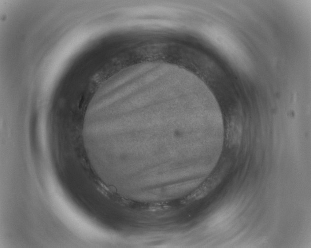 X0000078830383200611271303