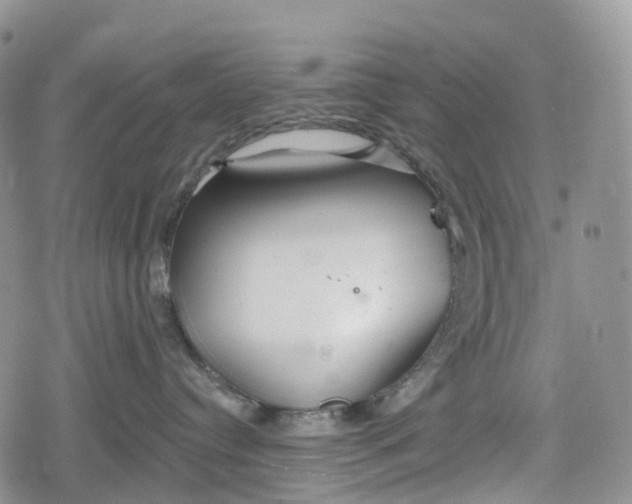 X0000078830384200611271303