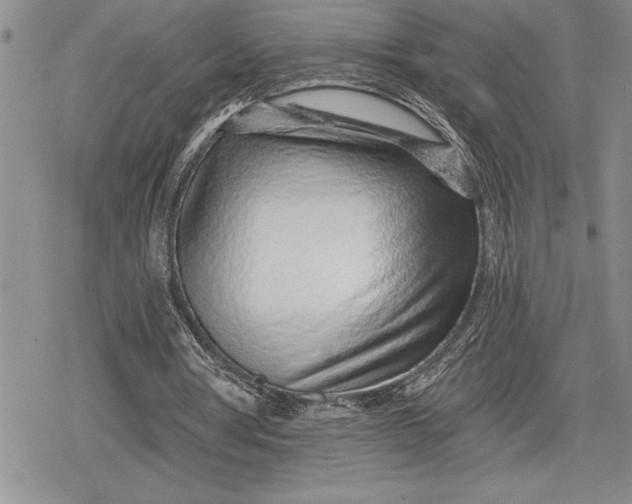 X0000078830386200611271302