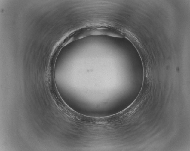 X0000078830388200611271302