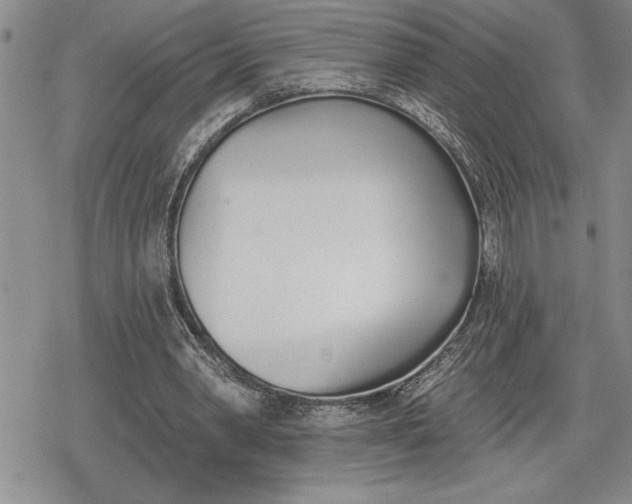 X0000078830390200611271302