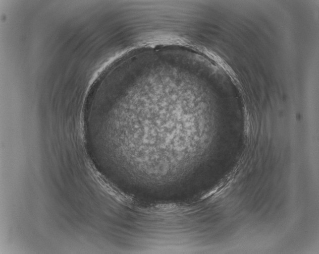 X0000078830391200611271302