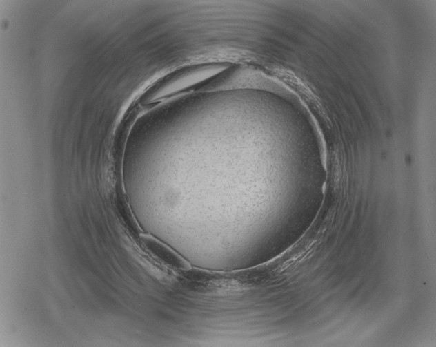 X0000078830392200611271302