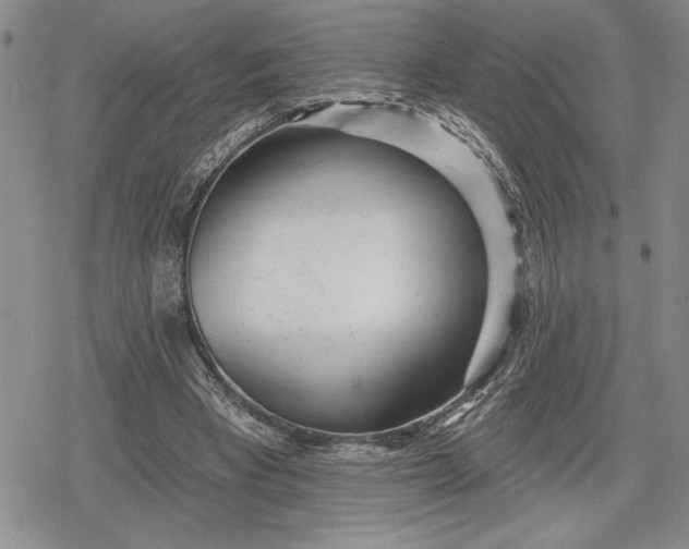 X0000078830393200611271302