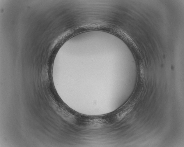 X0000078830396200611271302