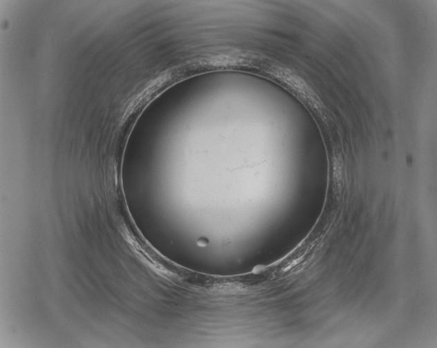 X0000078830397200611271302