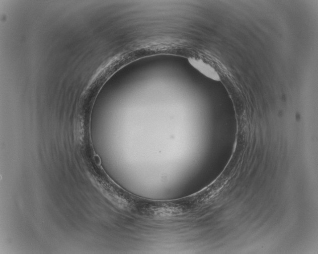 X0000078830400200611271302