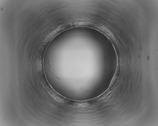 X0000078830401200611271302