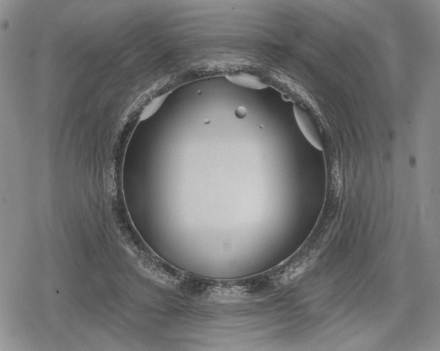 X0000078830403200611271302