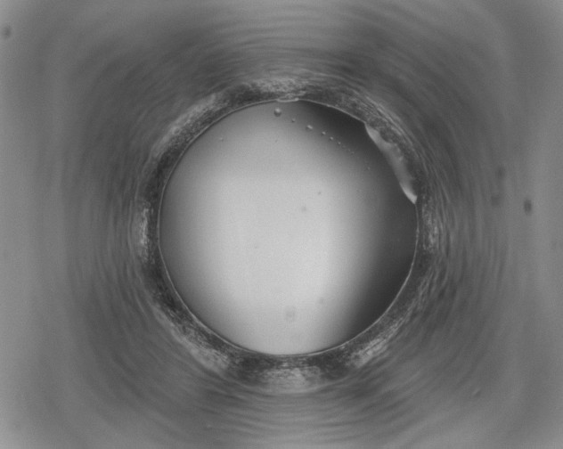 X0000078830404200611271302