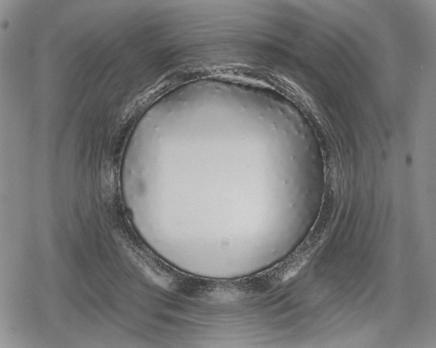 X0000078830405200611271302