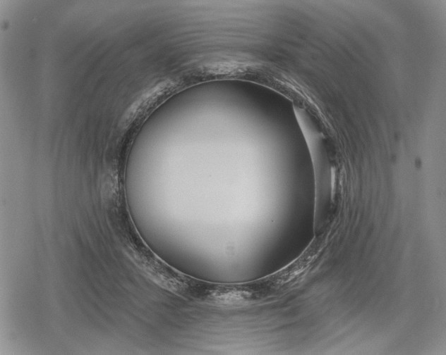 X0000078830407200611271302