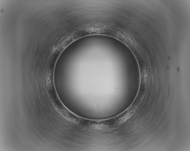 X0000078830408200611271302