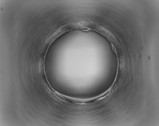 X0000078830409200611271302