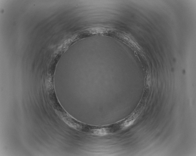 X0000078830411200611271302