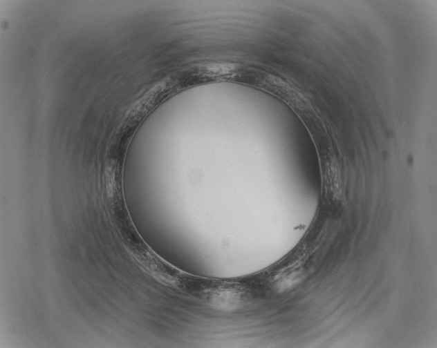 X0000078830412200611271302