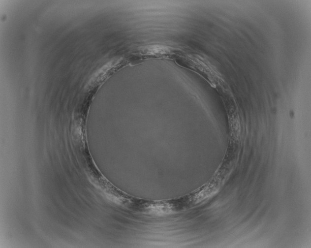 X0000078830415200611271302