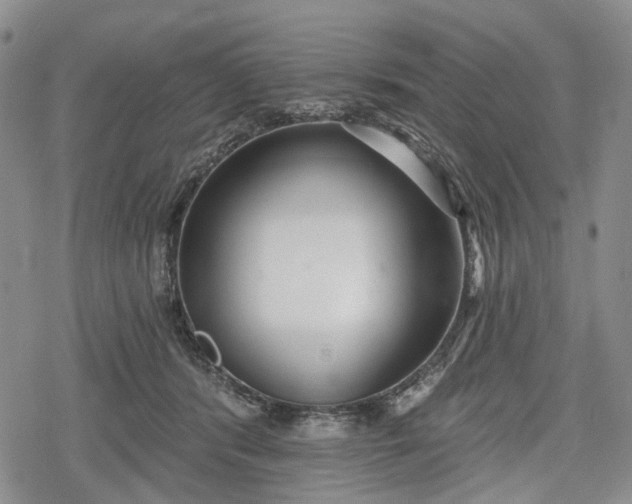 X0000078830416200611271302