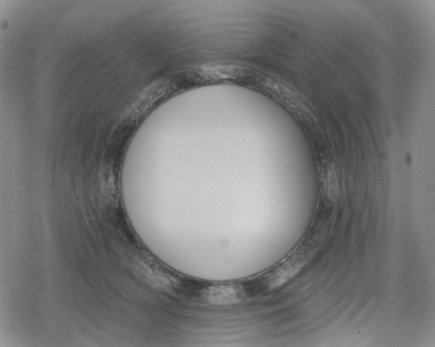 X0000078830418200611271302