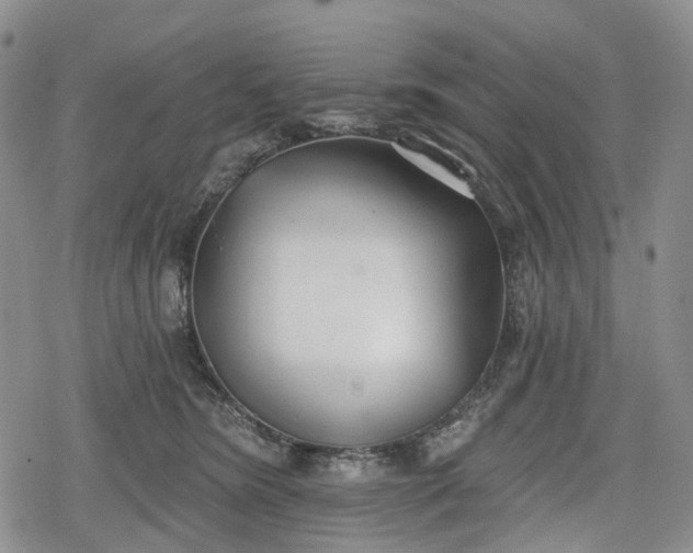 X0000078830420200611271302