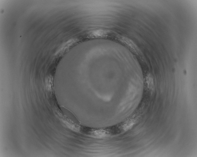 X0000078830423200611271302