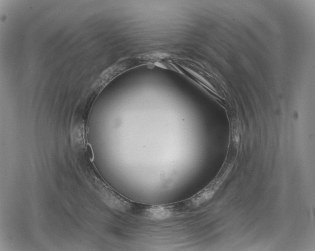 X0000078830425200611271302