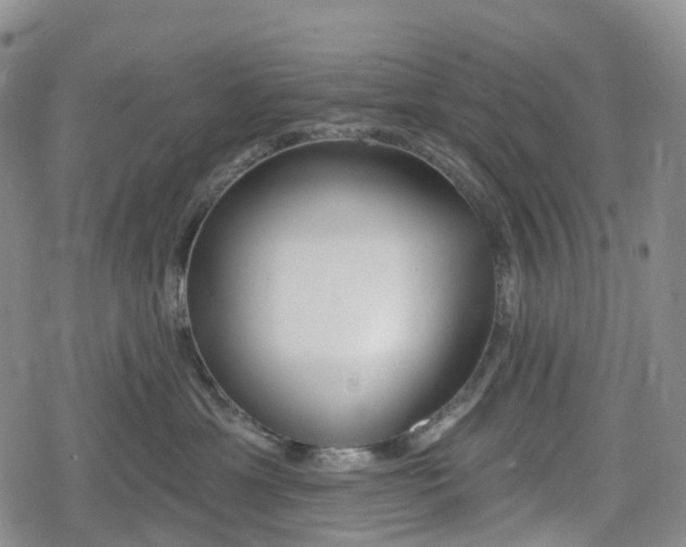 X0000078830429200611271301