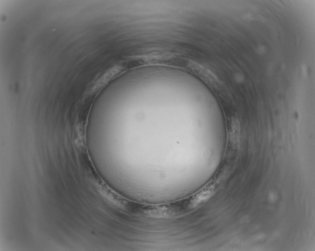 X0000078830430200611271301