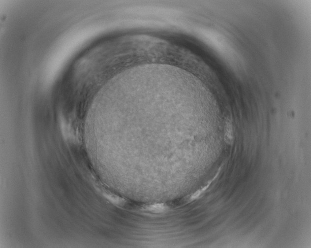 X0000078830431200611271301