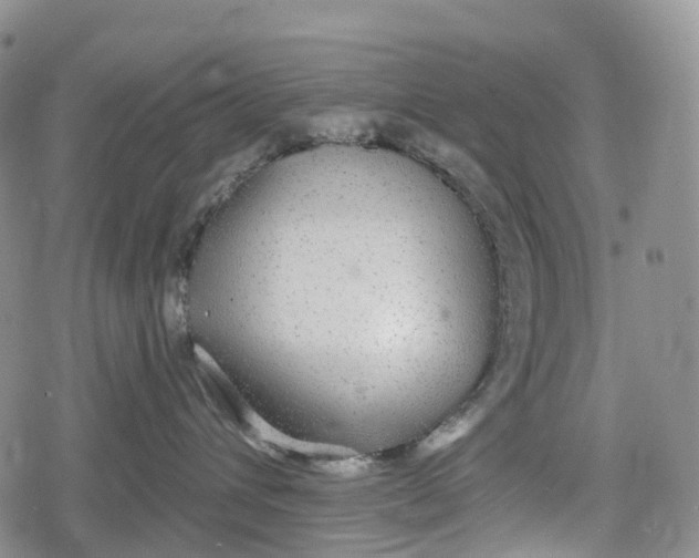 X0000078830432200611271301