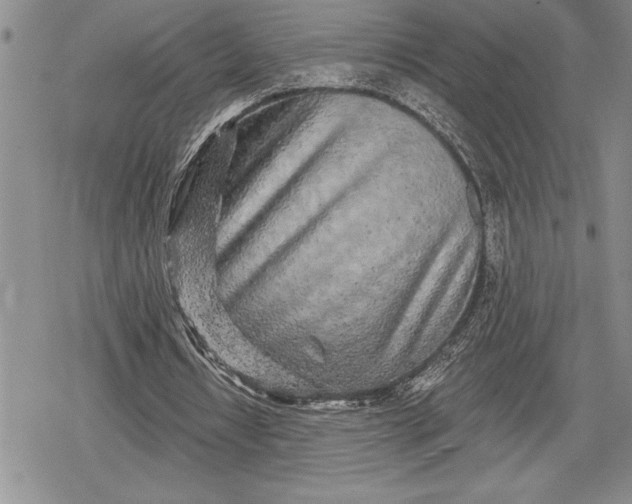 X0000078830434200611271301