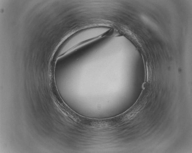 X0000078830435200611271301