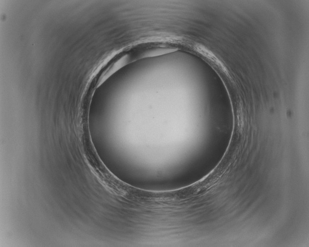 X0000078830436200611271301