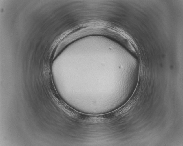 X0000078830437200611271301