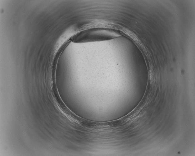 X0000078830438200611271301