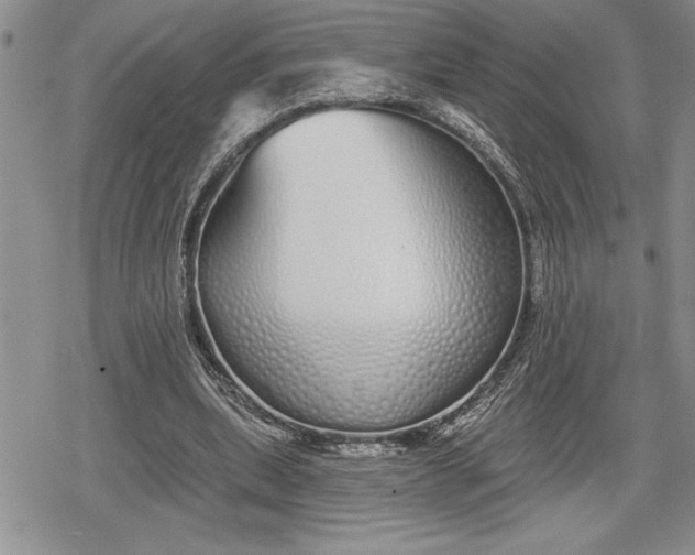 X0000078830439200611271301