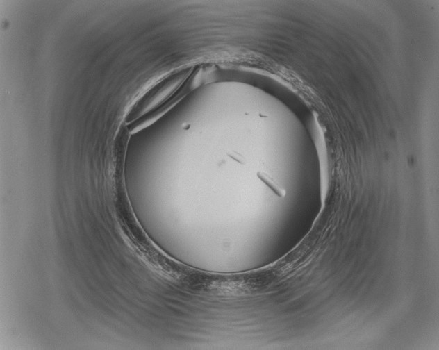 X0000078830440200611271301