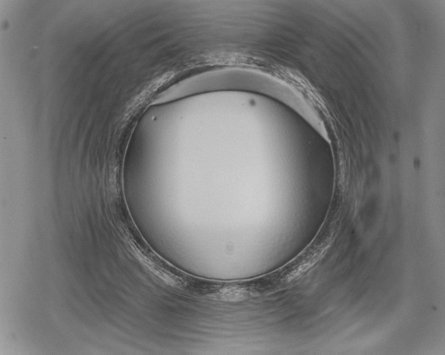 X0000078830441200611271301