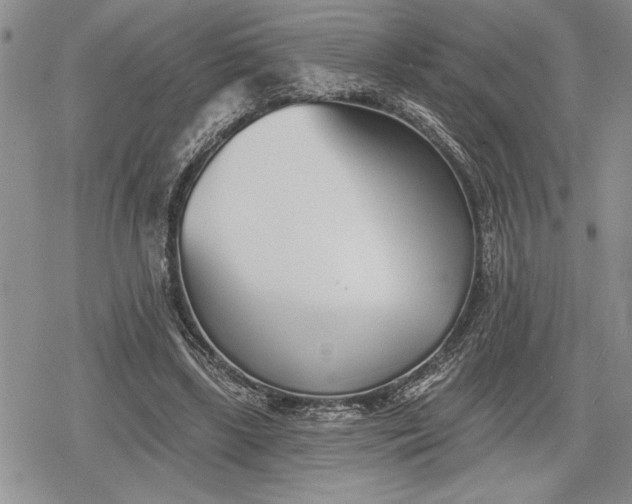 X0000078830443200611271301