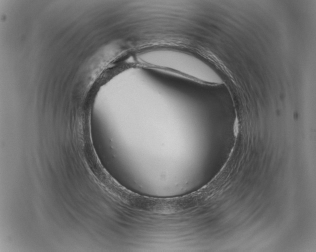 X0000078830444200611271301