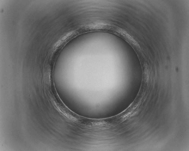 X0000078830446200611271301