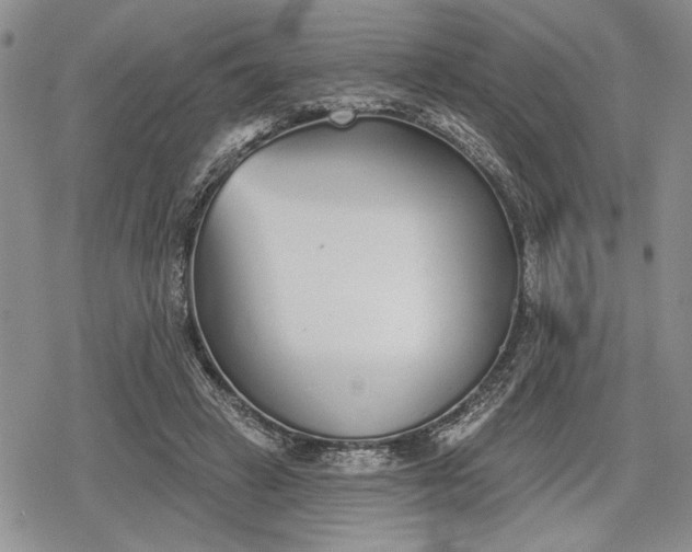 X0000078830449200611271301