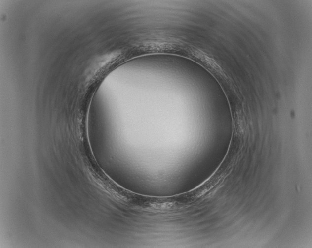 X0000078830450200611271301