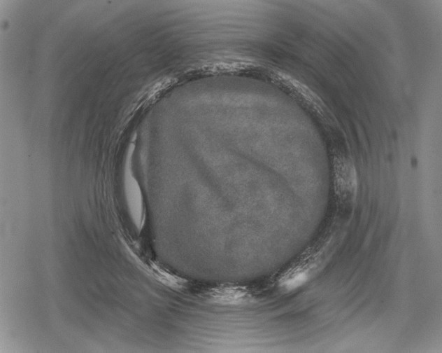 X0000078830451200611271301