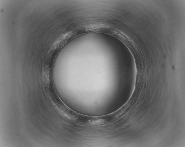 X0000078830452200611271301