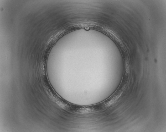 X0000078830453200611271301