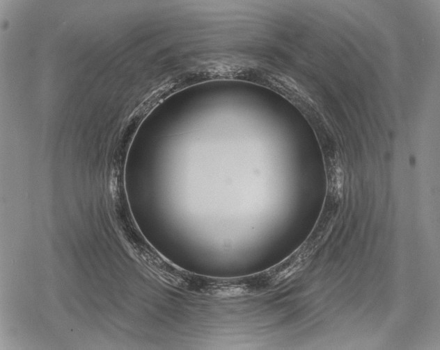 X0000078830456200611271301