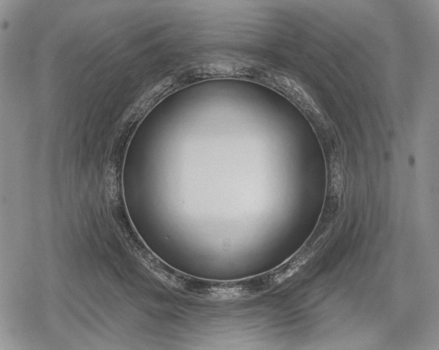 X0000078830457200611271301