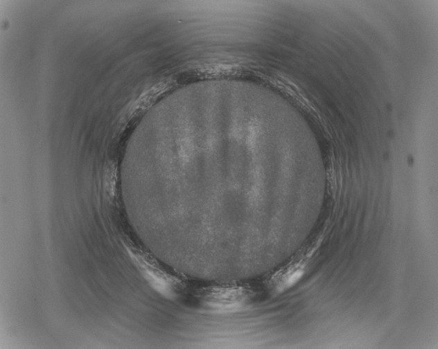 X0000078830458200611271301